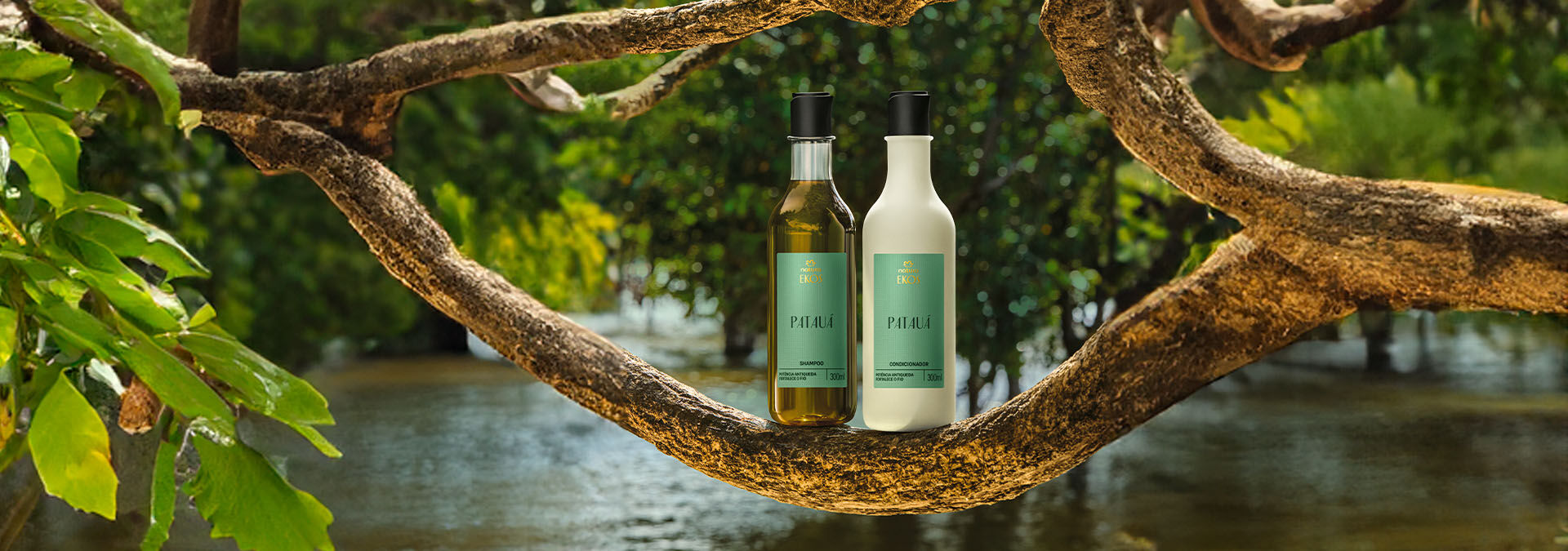 PatauáEl aceite de patauá es potencia anticaída que fortalece la hebra capilar, dejándola más resistente y con cuerpo.