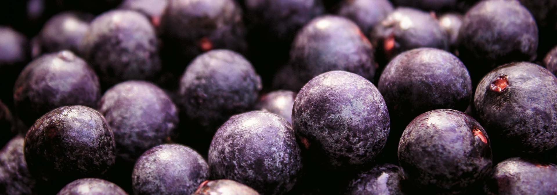 acai