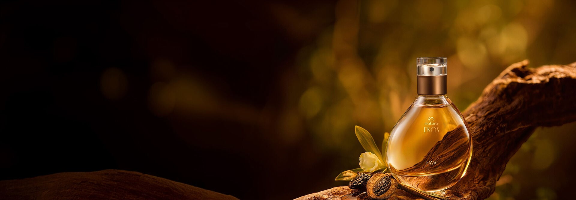 Imagem ambientada em floresta ao fundo, com o Eau de Parfum Ekos Fava sobre um tronco. Ao lado do frasco temos sementes de baunilha amazônica e uma orquídea vanilla, ingredientes da fragrância.  