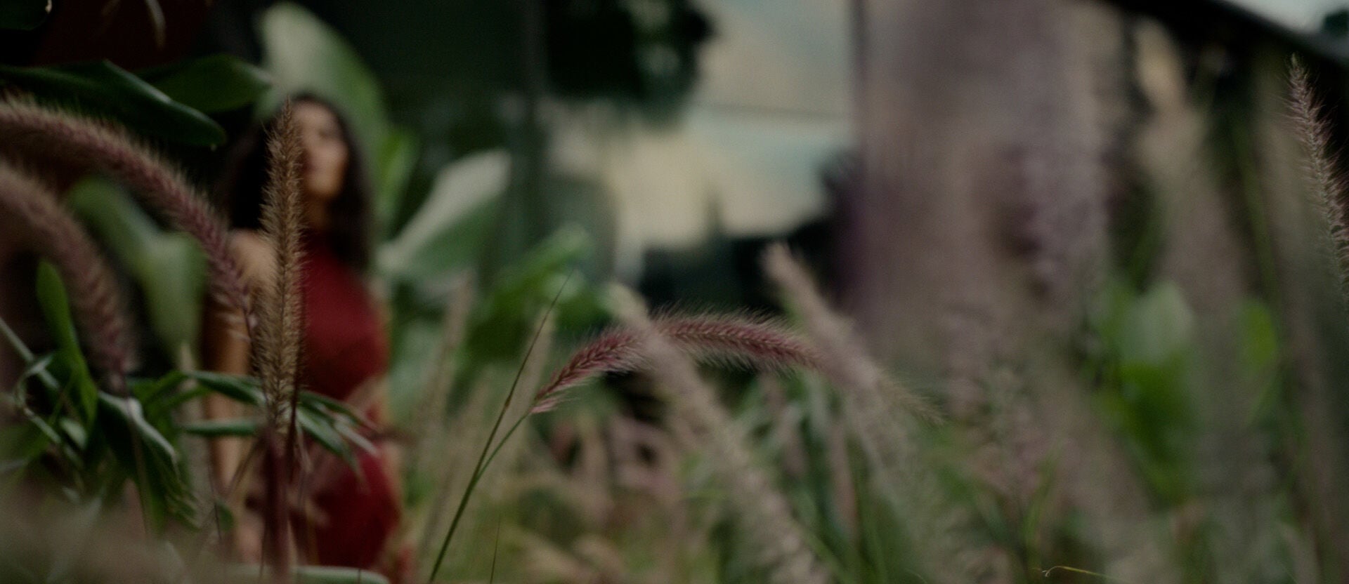 Vídeo publicitário do perfume Natura Essencial Safran. A cena alterna entre um homem e uma mulher que se buscam em um ambiente elegante com jardins e escadarias modernas. O clima é sofisticado e romântico, realçado por ilustrações vibrantes de flores e elementos tropicais que surgem na tela. Eles se encontram no topo de uma escada para um beijo apaixonado sob o céu. O vídeo destaca o frasco de vidro facetado em tons de vermelho intenso e finaliza com a exibição das versões masculina e feminina da fragrância.