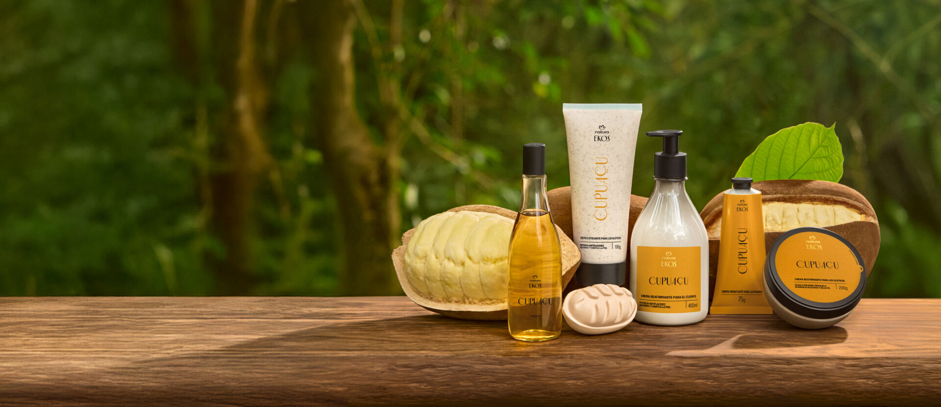 Banner com uma mesa de madeira rústica, com uma floresta verde desfocada ao fundo. Estão dispostos os produtos da linha Ekos Cupuaçu ao lado de frutos de cupuaçu abertos, revelando a polpa clara. Entre os produtos, destacam-se um óleo bifásico em frasco de vidro transparente, um sabonete em barra, um creme hidratante em bisnaga branca, um hidratante corporal com válvula pump, um creme para as mãos em bisnaga amarela e um pote redondo de polpa hidratante. 