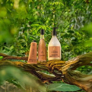 Kit Natura Ekos Castanha com bisnaga bege de polpa hidratante para mãos, frasco transparente de óleo trifásico e pump de creme corporal, apoiados em galho, com fundo de floresta verde.