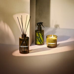 Três itens da linha Natura Bothânica: Spray de Ambientes, Difusor de Ambientes e Vela Aromática com embalagens em tons de verde, amarelo e marrom. Fundo com paredes em cor bege.