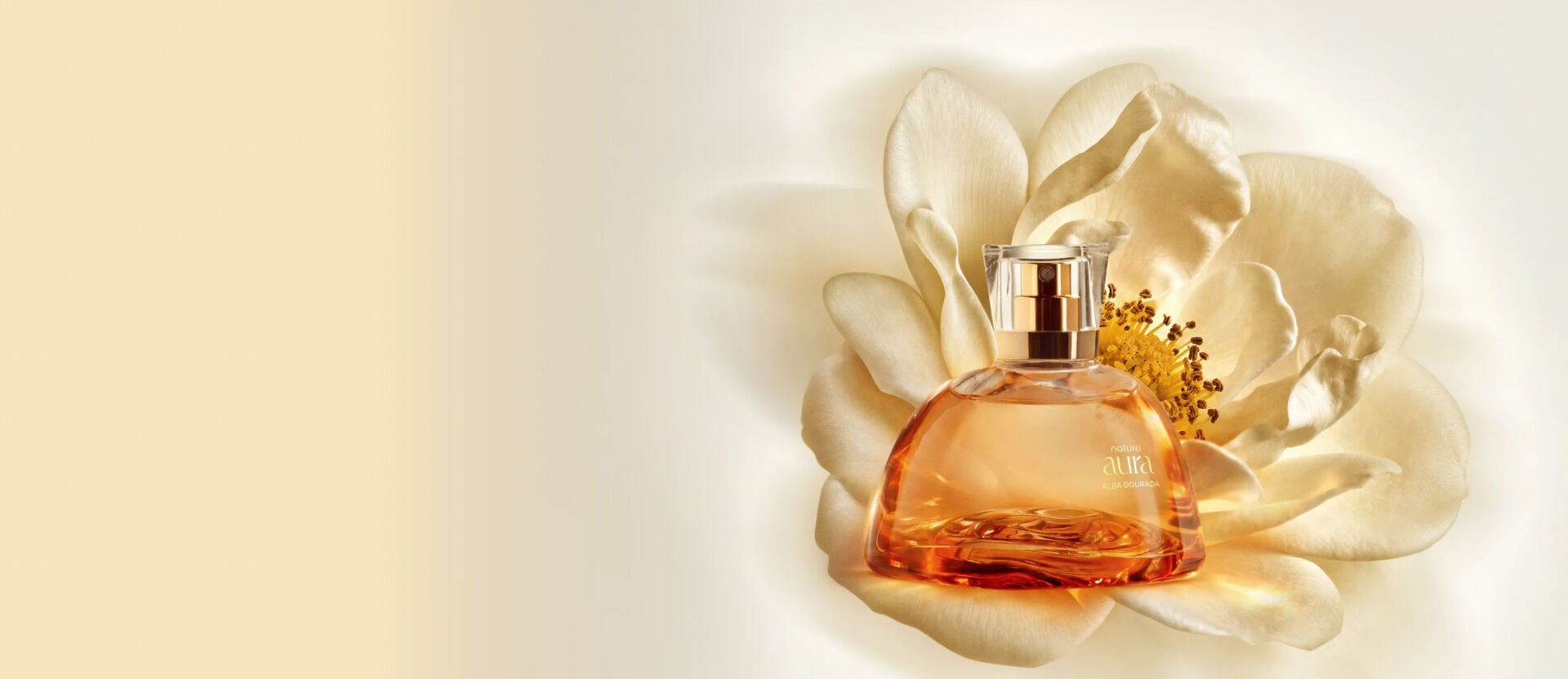 Frasco de perfume Natura Aura Alba Dourada em vidro translúcido ambarado repousa sobre uma grande flor branca aberta. O fundo claro em tom de creme destaca a sofisticação da embalagem.