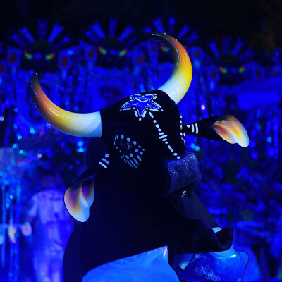 Fotografia em plano médio com iluminação cênica azul destacando a escultura articulada do Boi Caprichoso, do Festival de Parintins. O boi é preto, confeccionado em material aveludado, e traz uma estrela azul brilhante na testa decorada com grafismos brancos. Seus chifres são grandes, curvados para cima, com um degradê que vai do branco na base ao amarelo e pontas pretas. Ao fundo, fora de foco, nota-se uma estrutura alegórica e pessoas sob a forte luz azul do espetáculo. 