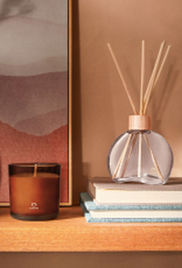 Vela Perfumada e Difusor Natura 861 Guaiaco Pataqueira aparecem em destaque sobre prateleira de madeira. O Difusor repousa sobre dois livros e a Vela Perfumada destaca-se à frente de tela abstrata.