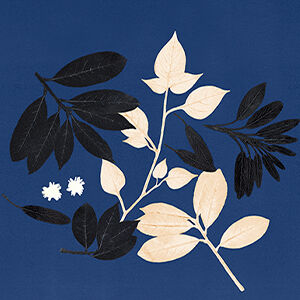 Ilustração de galhos com folhas pretas e brancas sobre um fundo azul escuro, em um estilo minimalista e monocromático.