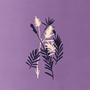 DIVINUS PLANTAE