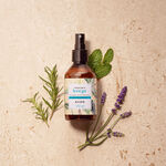 Aromatizante De Ambiente Frescor E Leveza