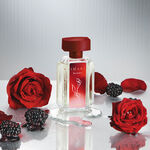 Imari Queen Deo Colônia