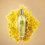 Pur Blanca Hope Deo Colônia