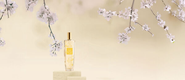 Pur Blanca Serenity Deo Colônia