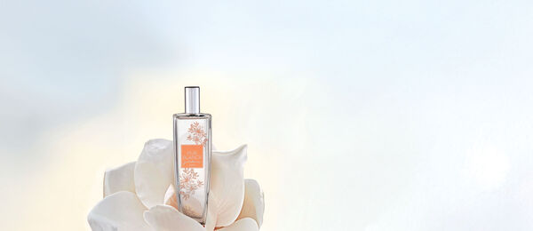 Pur Blanca Gardenia Deo Colônia