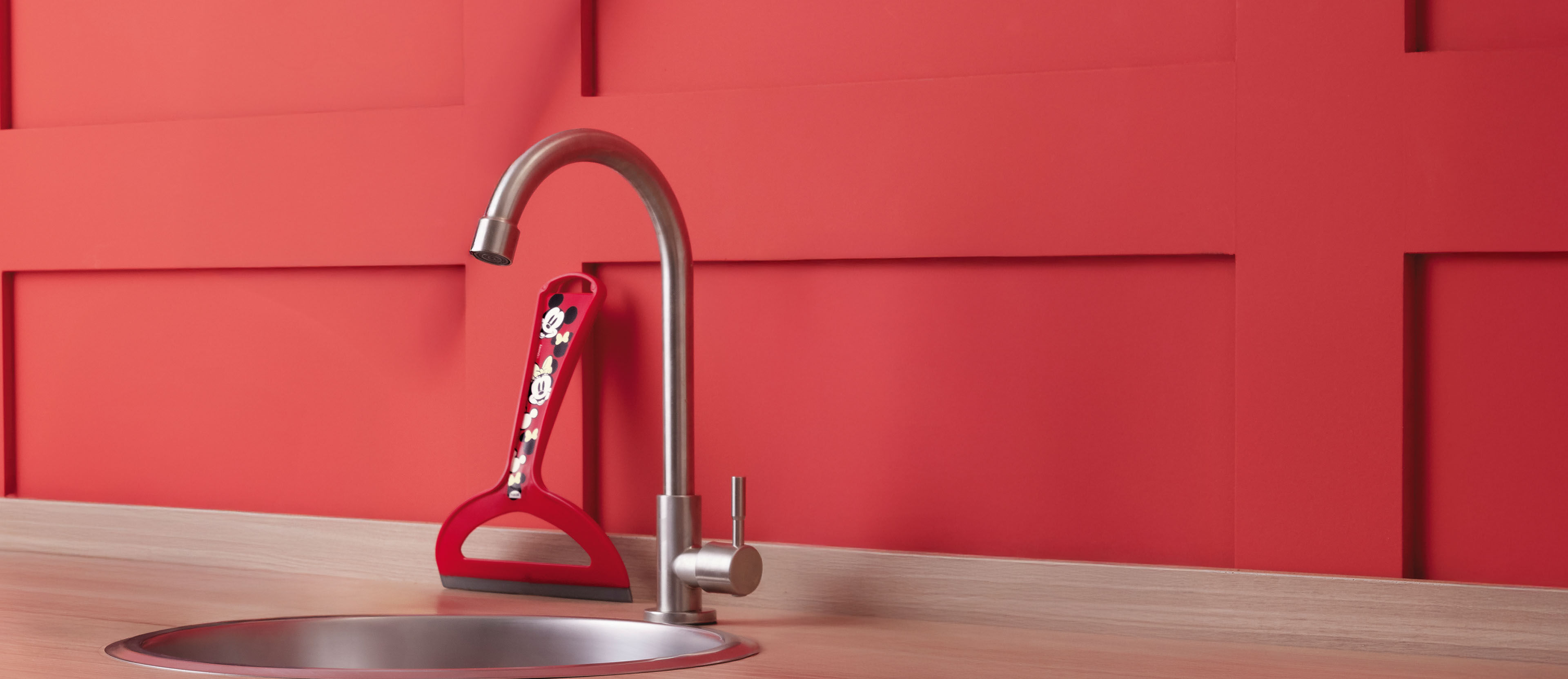 Rodinho De Pia Disney