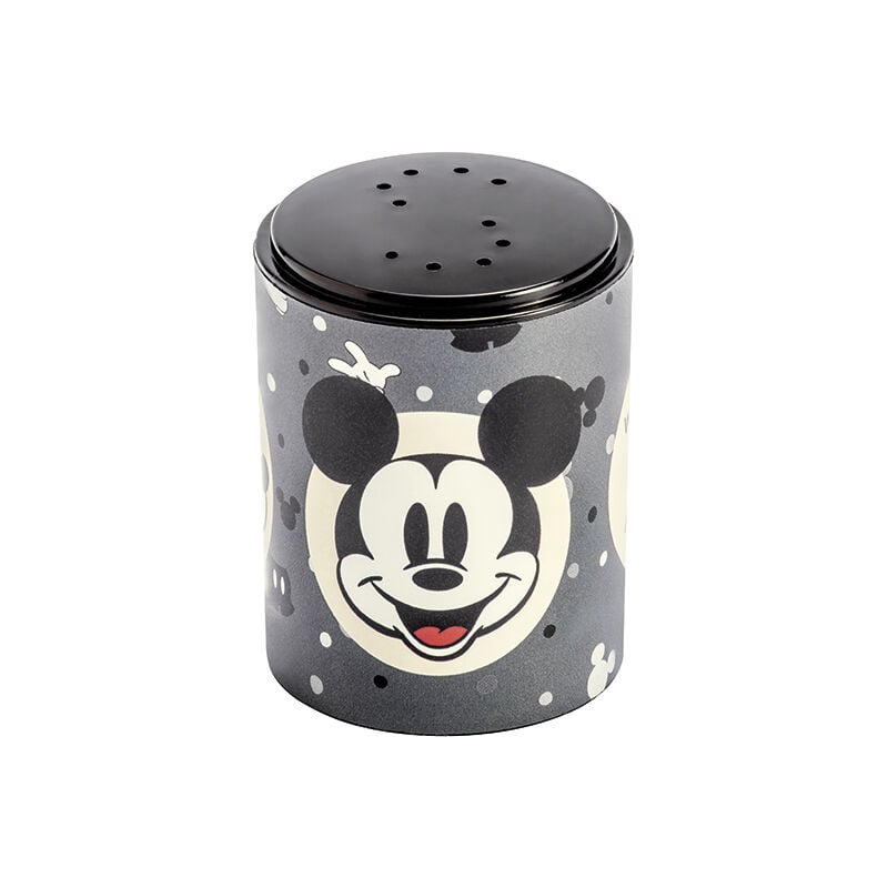 Porta Tempero Disney