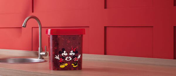 Lixeira Disney