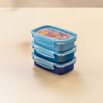 Kit 3 Potes com Trava