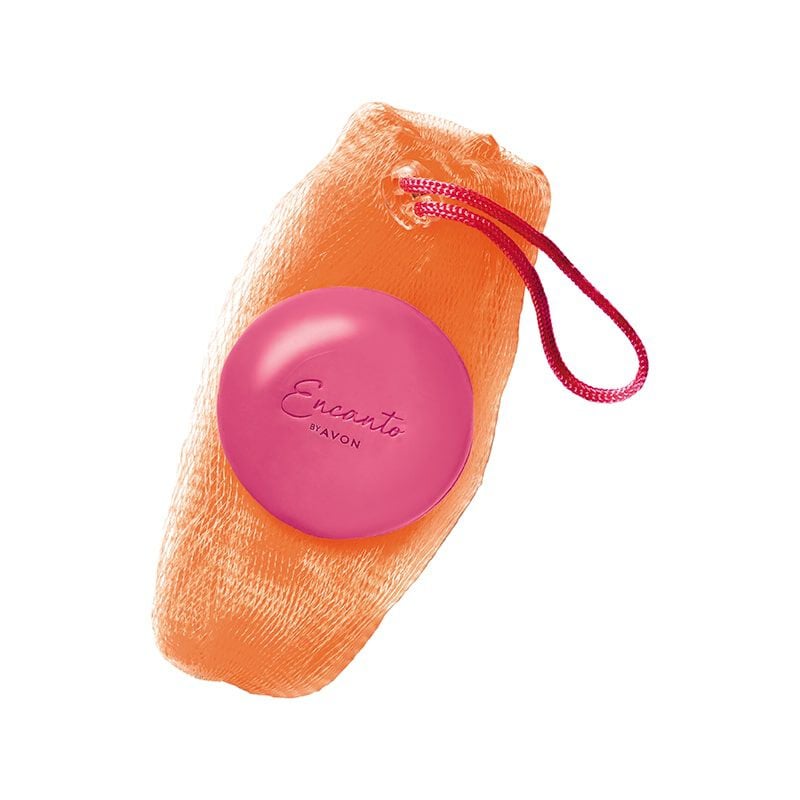 Esponja Sabonete Bicolor