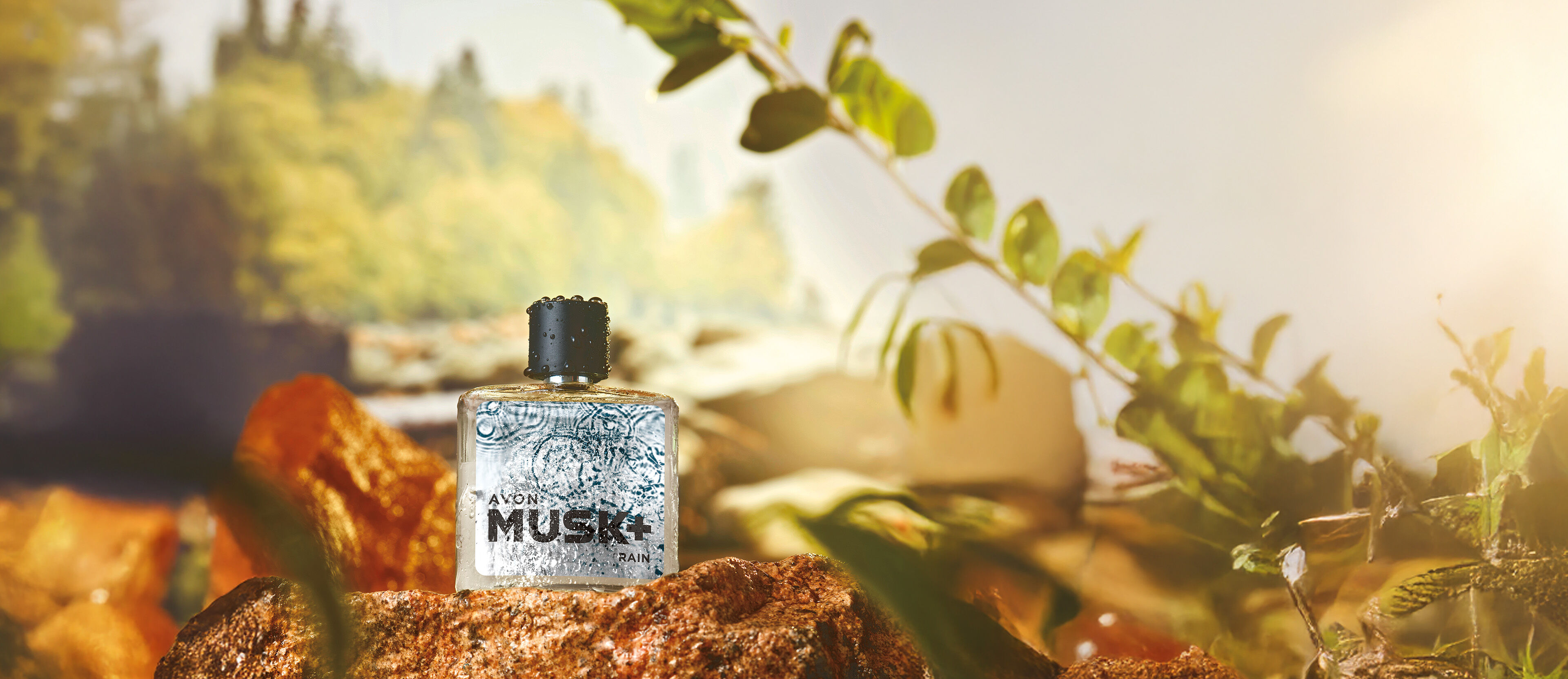 Musk+ Rain Deo Colônia