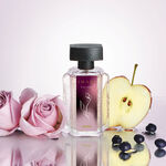 Imari Corset Deo Colônia