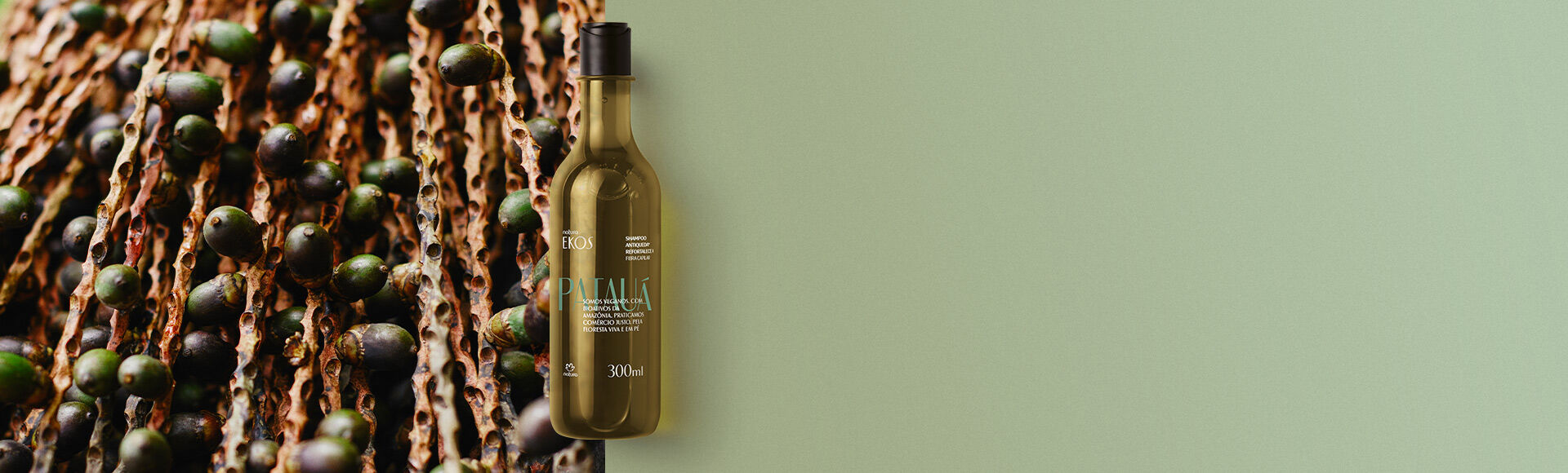 Shampoo patauá