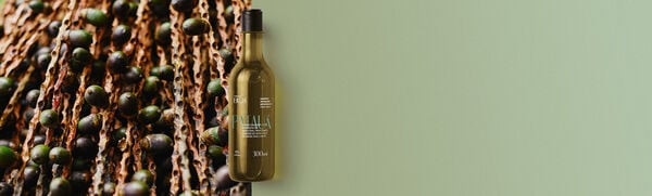 Shampoo patauá