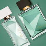 Regalo Esencial Sentir Edición Especial