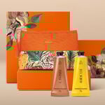 Regalo Madres 1 crema manos castaña + 1 crema manos maracuyá Ekos + neceser