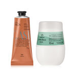 Kit Erva doce - Castaña