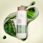 Shampoo cremoso definición e hidratación