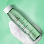 Shampoo Detox Tododia Té de Hierbabuena y Jengibre