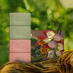 Jabón en Barra Baño Perfumado Ekos Flor de Vindicá y Menta Piperita