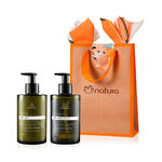 Regalo Bothanica Ficus Herb