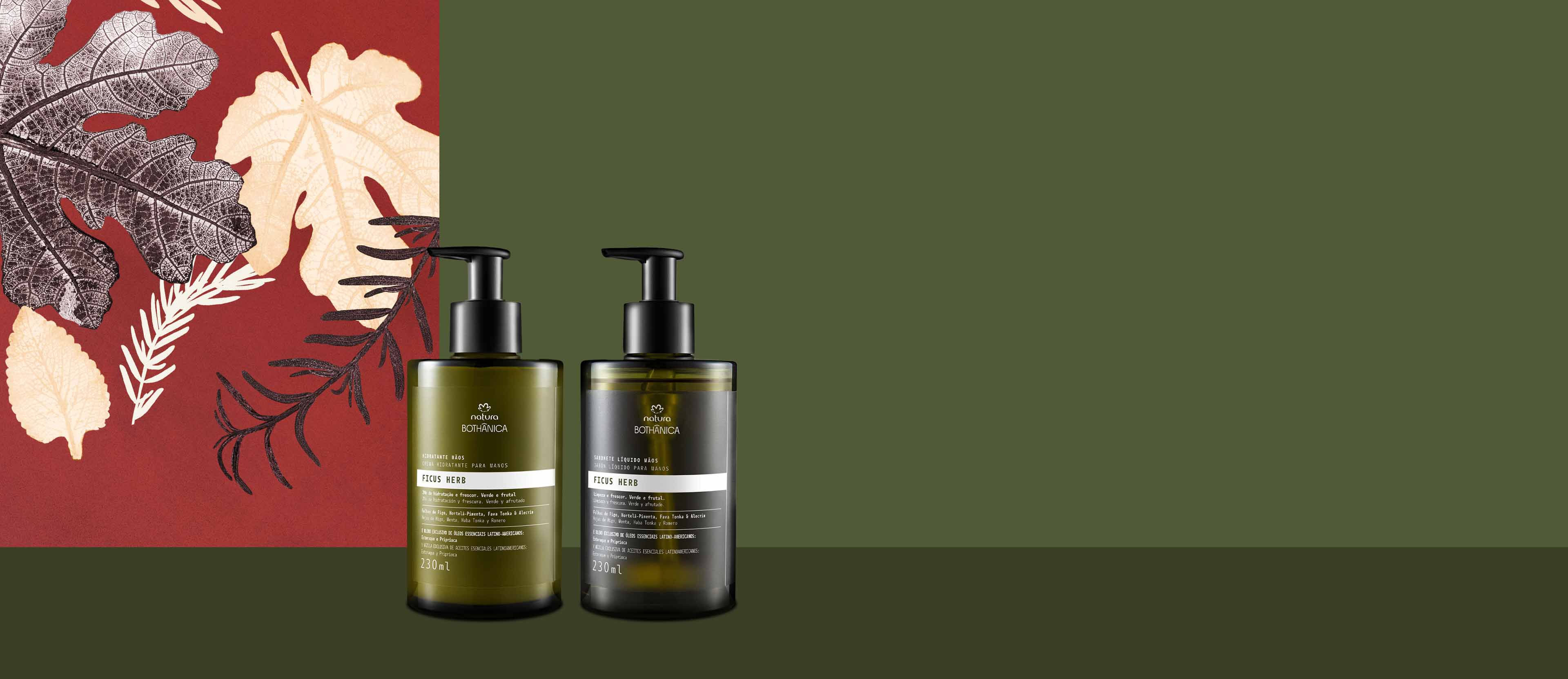 Regalo Bothanica Ficus Herb