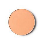 Polvo compacto