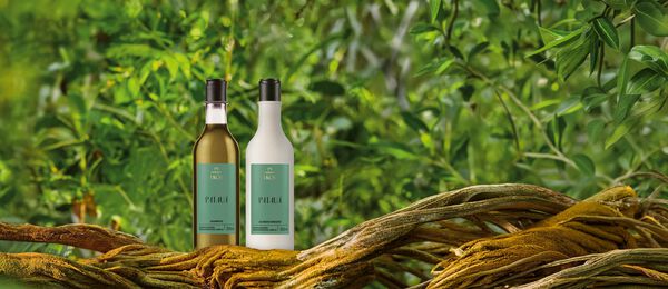 Kit Shampoo y Acondicionador Ekos Patauá