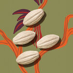 Jabones en Barra Puro Vegetal Ekos Cacao 4 x 100 g c/u