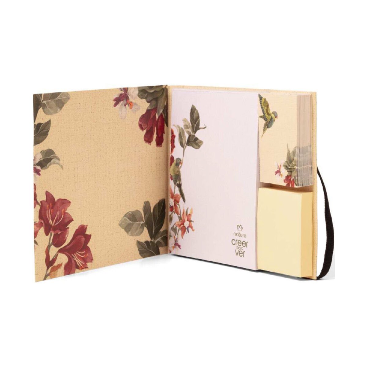 Bloc de Notas Creer para Ver