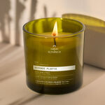 Vela Bothanica Divinus Plantae 170 g