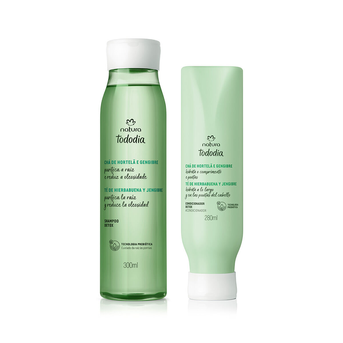 Kit Detox Tododia Té de Menta y Jengibre Básico