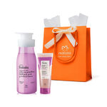 Regalo Tododia Avellana y Cassis