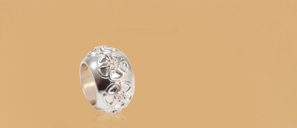 Charm Flor Crer Para Ver