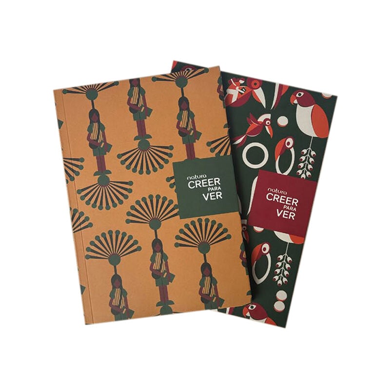 Set de Cuadernos Creer para Ver