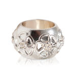 Charm Flor Crer Para Ver