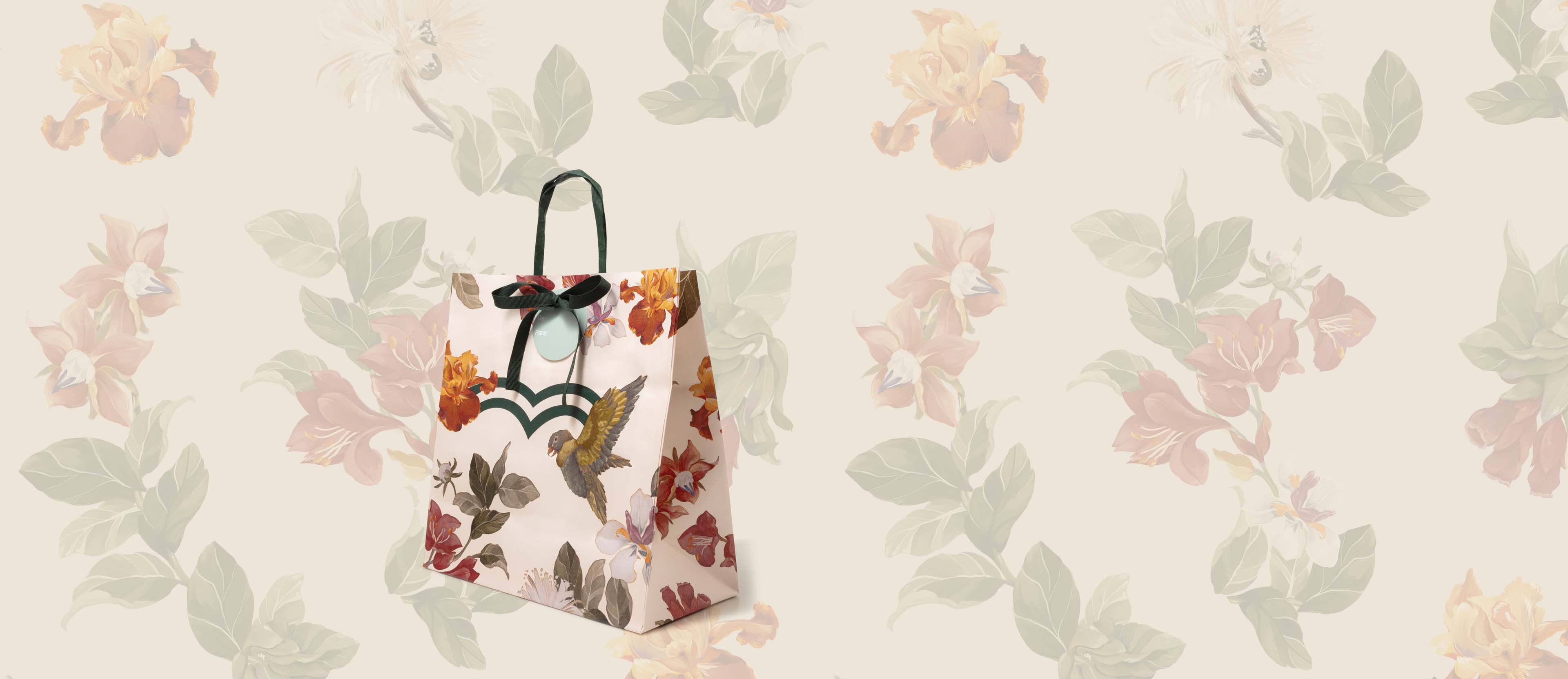 Bolsa Solidaria Mediana Creer para Ver