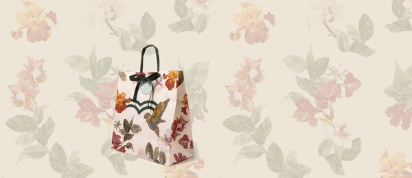 Bolsa Solidaria Mediana Creer para Ver