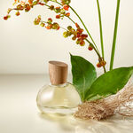 Eau de Parfum 875 Vetiver Capitiú 50ml