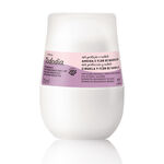 Desodorante Roll On Antitranspirante Prebiótico Tododia Ciruela y Flor de Vainilla 70 ml