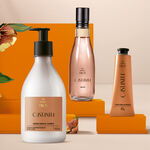 Regalo Madres Rutina Completa Ekos Castaña (3 productos)