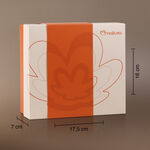 Caixa Especial de Presente P